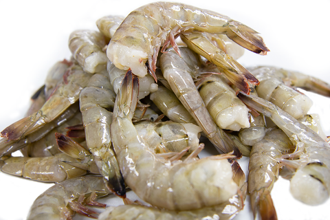 Carolina Jumbo Shell-On Shrimp